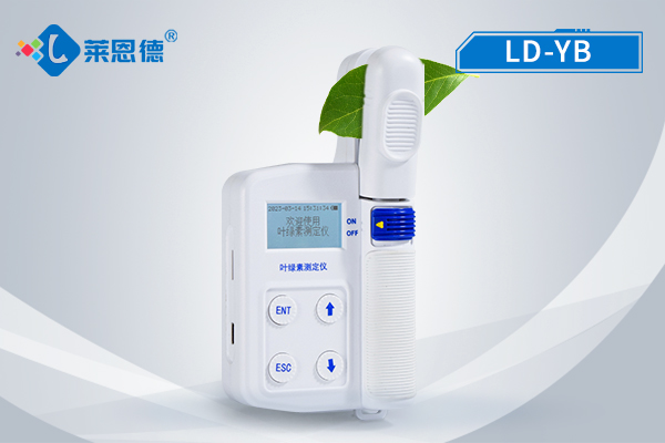 葉綠素檢測儀的實(shí)用意義：及時(shí)掌握綠素提高鍛煉、葉面溫度等數(shù)據(jù)
